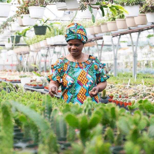 A woman in a greenhouse.