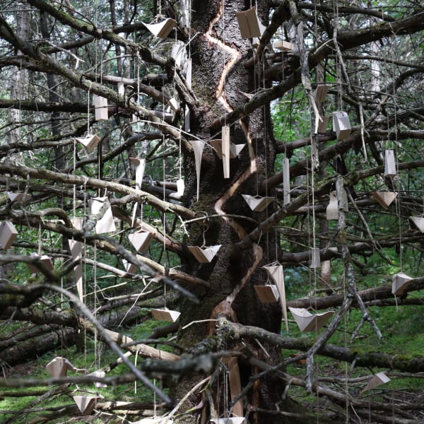 A Land Art installation created by André Ménard as part of the 2025 edition of Les Éphémères de Lac-Beauport.
