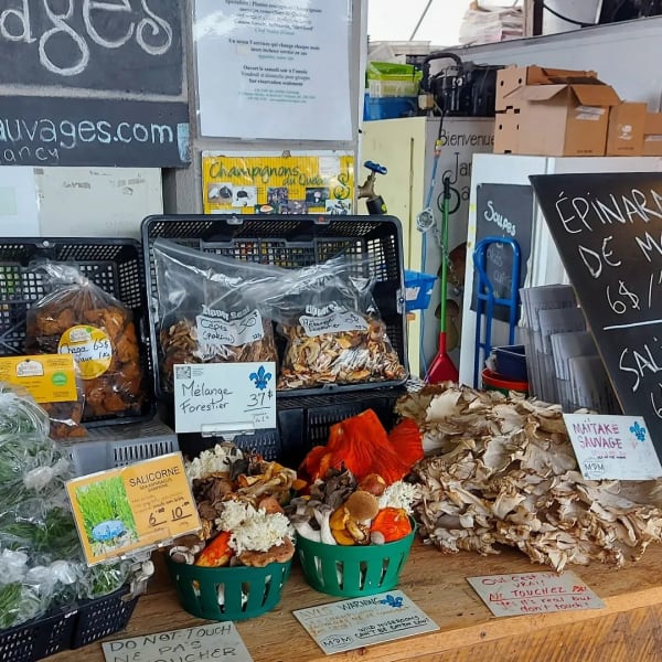 Les Jardins Sauvages (Marché Jean-Talon)