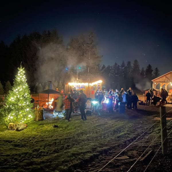 Christmas tree lit up at night with festive evening.