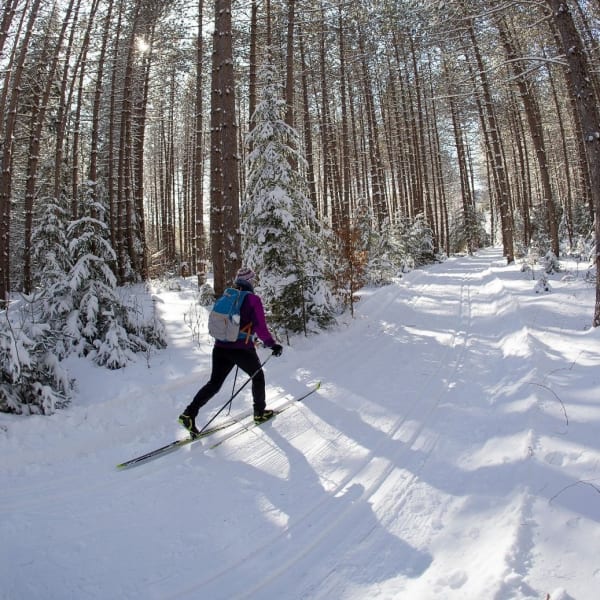 A participant in the Canadian Ski Marathon.