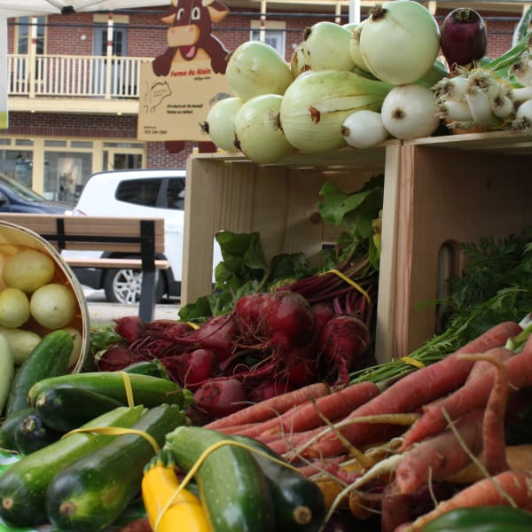 Marché public de Saint-Raymond - Vegetables