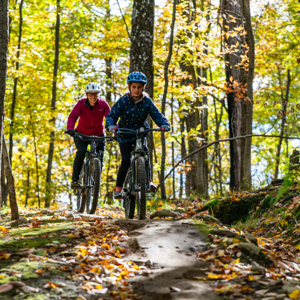 Sommet Saint-Sauveur Bike Park