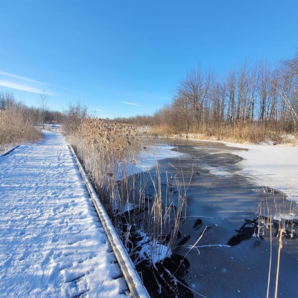 A footbridge and a pond covered in snow in winter.