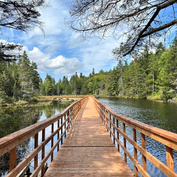 Passerelle en bois sur un plan d'eau en été. 