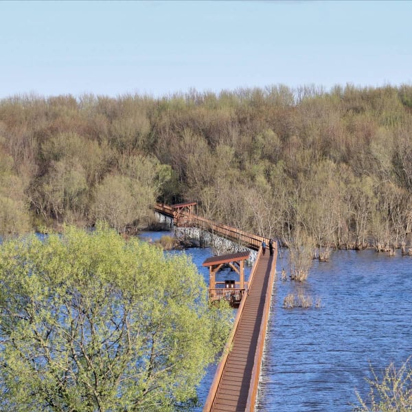 Wooden footbridge over a lake in spring.
