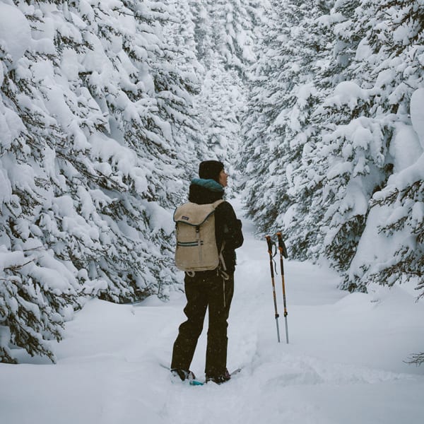 Parc national de la Gaspésie