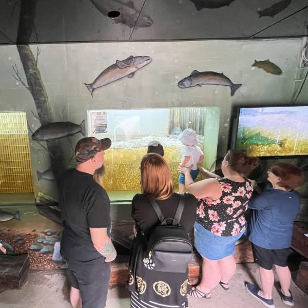 Visitors watching the salmon run.