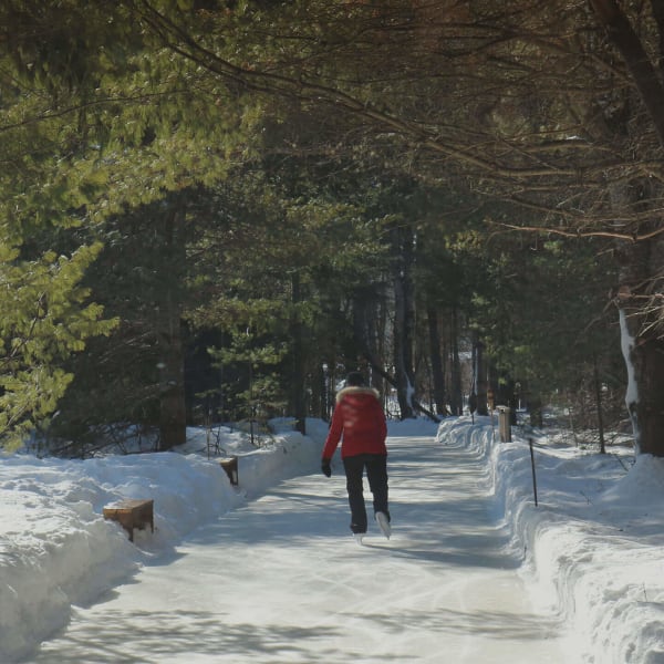 Personne patine au Patinage en forêt.