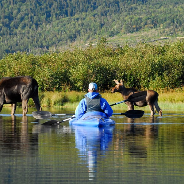 Camping de la réserve faunique de Matane