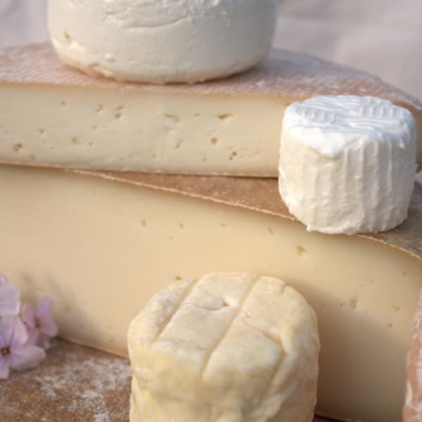 cassis_et_melisse_1