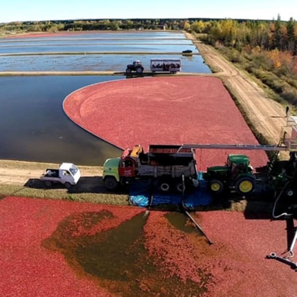 Cranberry Interpretation Centre