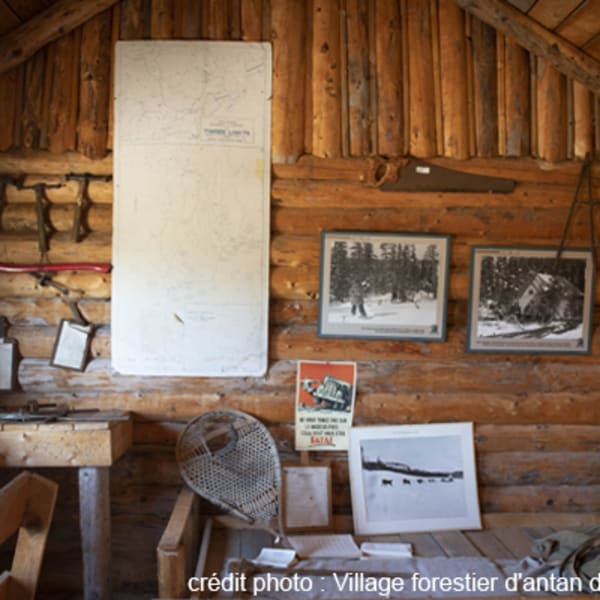 centre_dinterpretation_de_la_vie_en_foret_de_franquelin_1