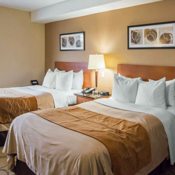 comfort_inn_airport_east_1