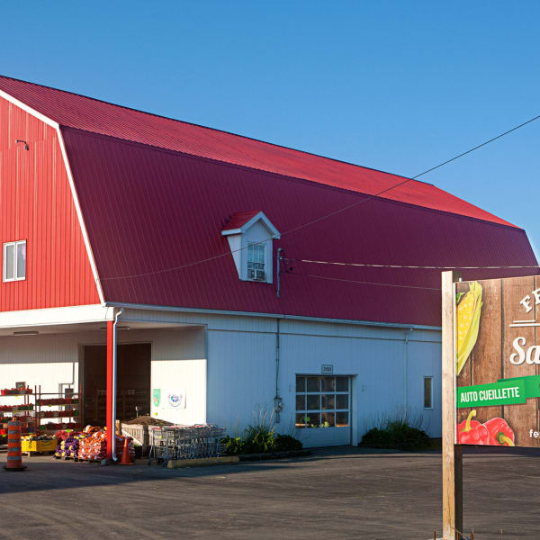 ferme_d_m_sauriol_1
