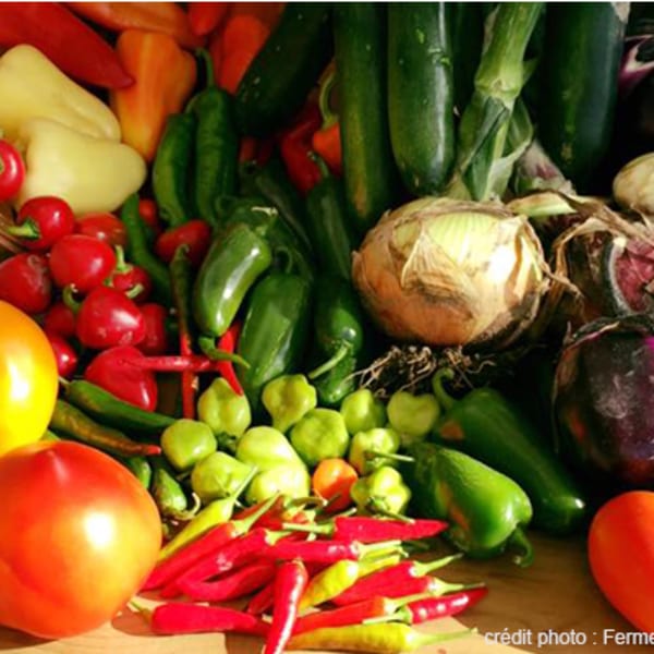 ferme_f_turcot_et_fils_1