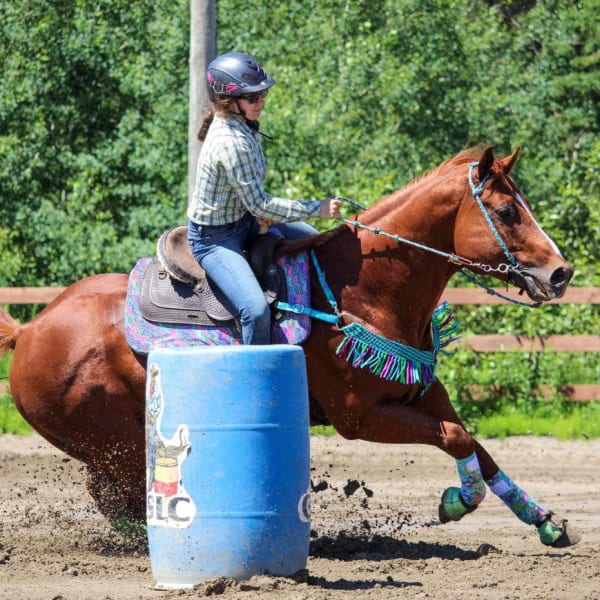 festival_western_du_boise_1
