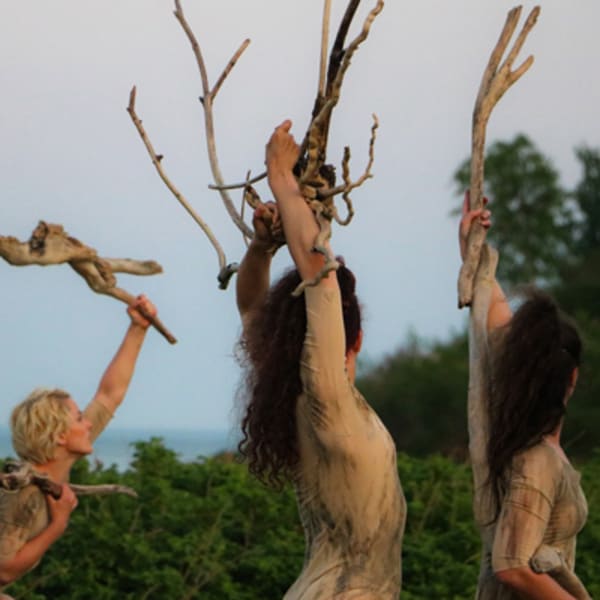 fleuve_espace_danse_1