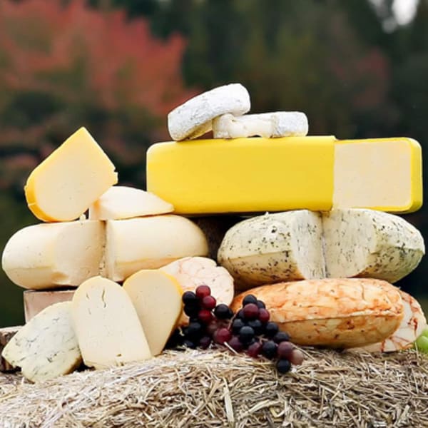 fromagerie_du_petit_plaisir_1