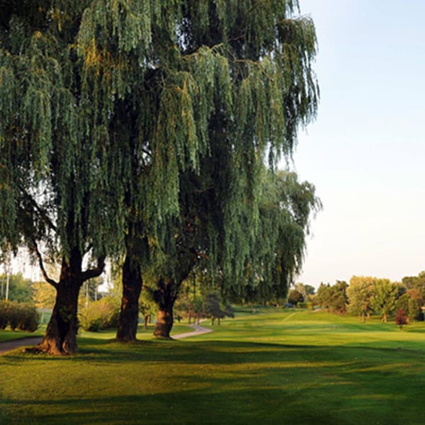 golf_drummondville_1