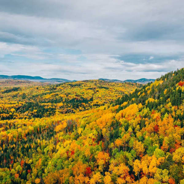 Héli-Charlevoix