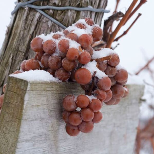 The Laurentian Chemin du Terroir