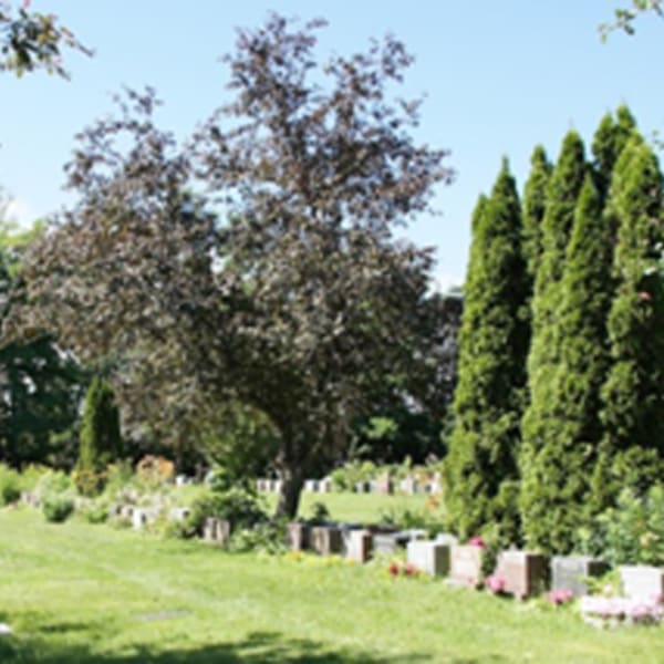 le_cimetiere_mont_royal_1