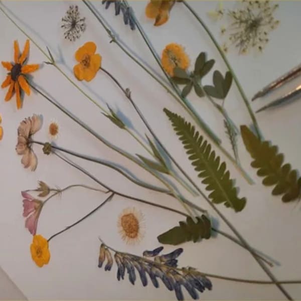 les_cantons_fleuris_1