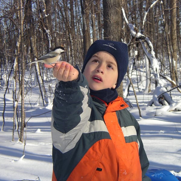 Saint-Bernard Island