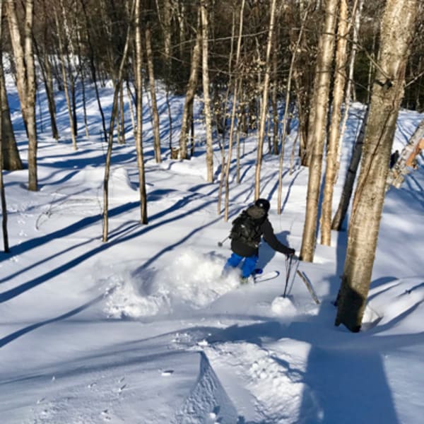 mont_alta_1_h