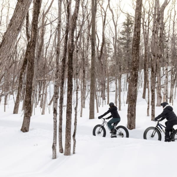 Montmagny and the Islands