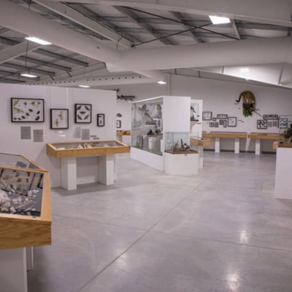 musee_du_coquillage_1