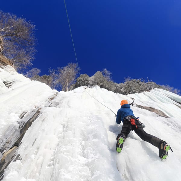Parc Aventures Cap Jaseux