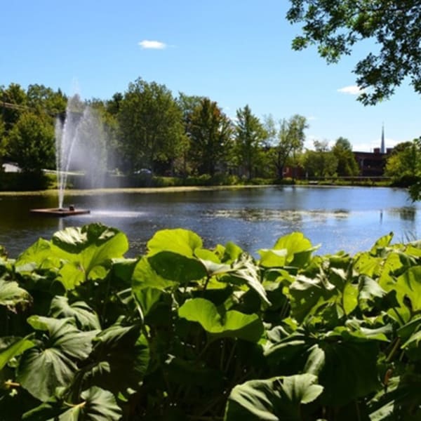 parc_du_domaine_howard_et_jardins_des_serres_municipales_carl_camirand_1