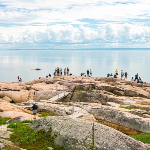 Saguenay–St. Lawrence Marine Park