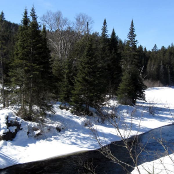 Société des parcs régionaux de la Matawinie