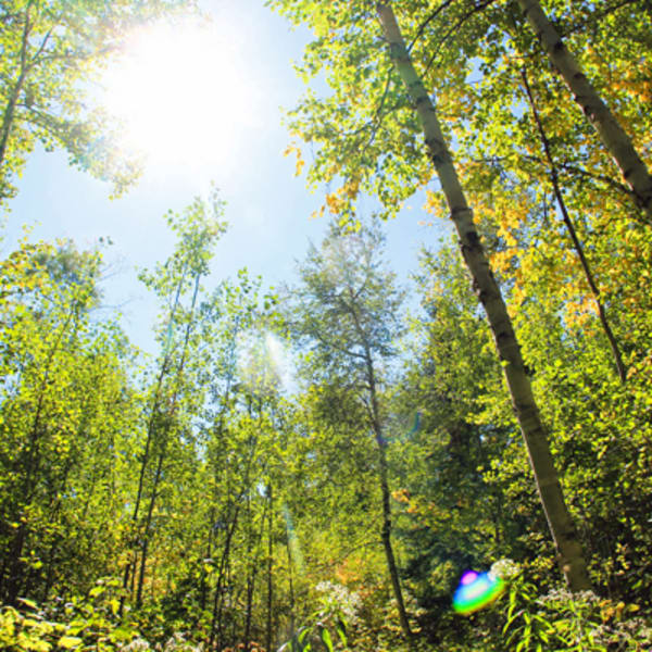 Quebec's Regional Parks