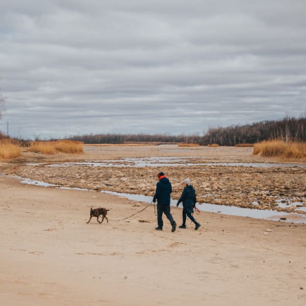 Beach at Parc régional des Îles-de-Saint-Timothée