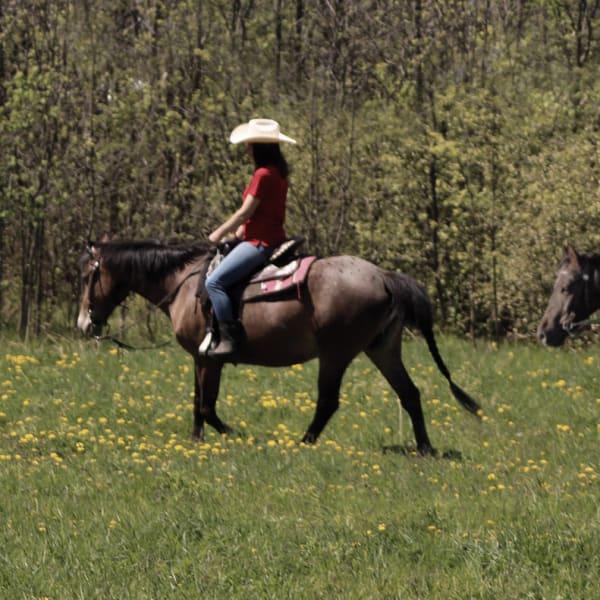 ranch_robert_1