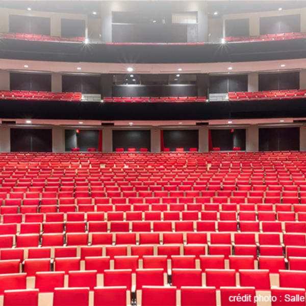 salle_albert_rousseau_1