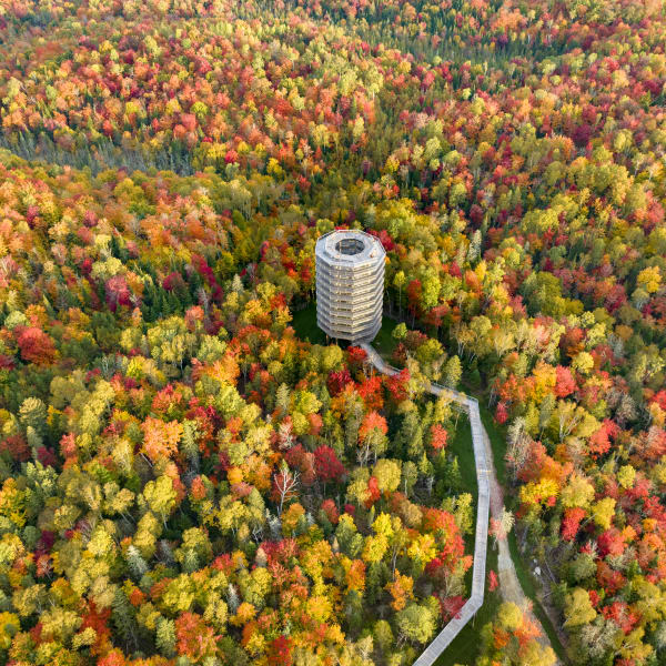 Sentier des cimes Laurentides