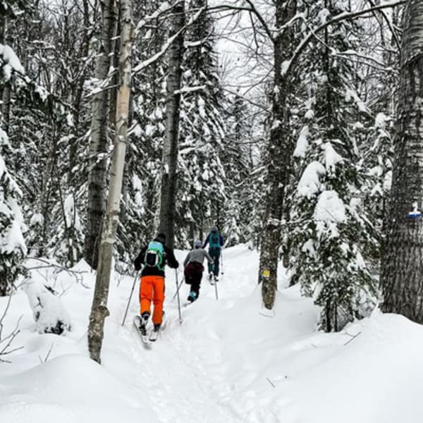 ski_de_fond_au_mont_grand_fonds_1_h