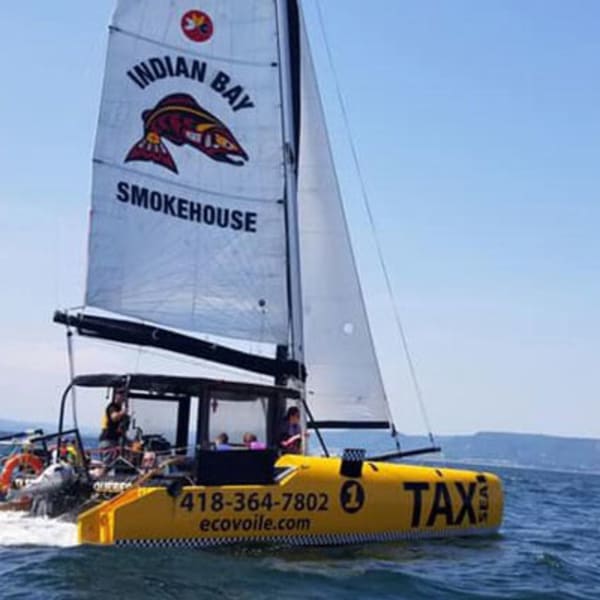 taxsea_1