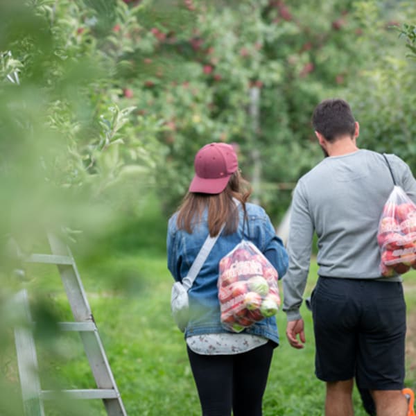 terroir_et_saveurs_du_quebec_1