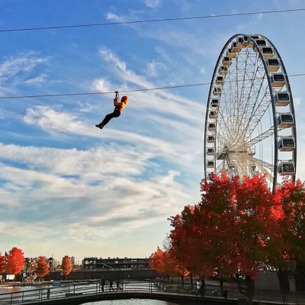 MTL ZIPLINE