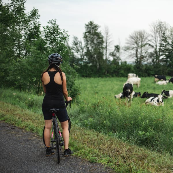 veloroute_gourmande_1