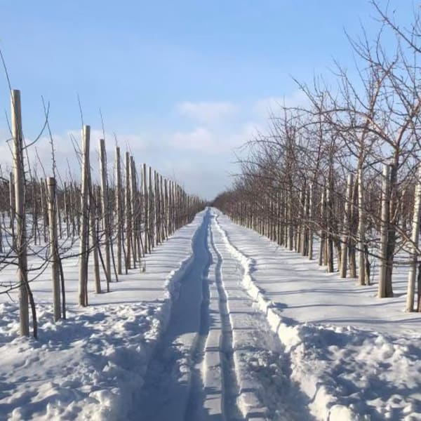 Vergers et cidrerie Denis Charbonneau