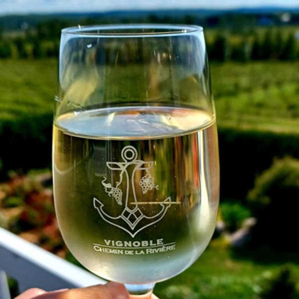vignoble_chemin_de_la_riviere_1