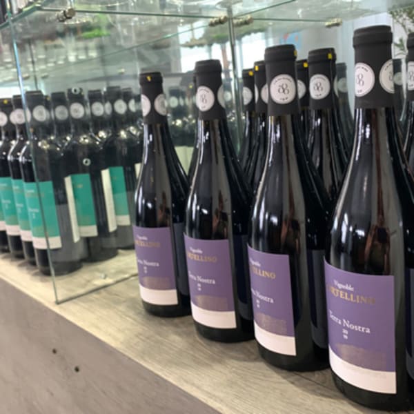 vignoble_cortellino_1