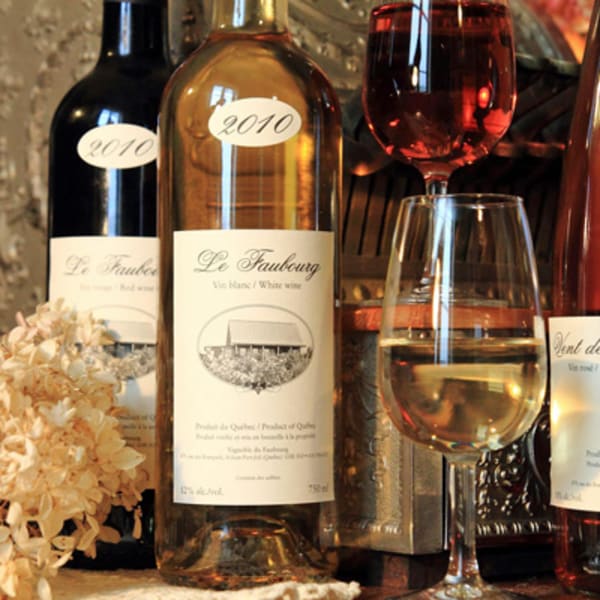 vignoble_du_faubourg_1